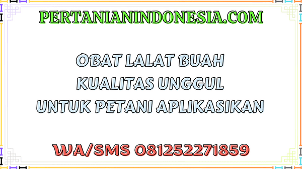 Obat Lalat Buah Kualitas Unggul Untuk Petani Aplikasikan